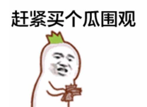 吃瓜群众表情包介绍,揭秘网络时代的“表情语言”